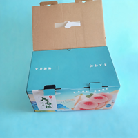 Petite valise de style coffret cadeau avec poignée de transport, carton pliable, impression personnalisée, boîte en carton ondulé écologique, boîte à main
