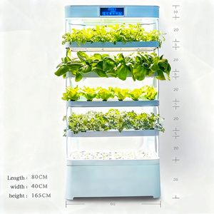 Sistemas de <span class=keywords><strong>Cultivo</strong></span> Hidropónico Verticales - Plantadora Automática para <span class=keywords><strong>Cultivo</strong></span> Comercial de Vegetales en Invernadero sin Suelo - Product Image 6