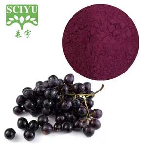 Bubuk Ekstrak <span class=keywords><strong>Black</strong></span> <span class=keywords><strong>Currant</strong></span> untuk Jus dan Penggunaan Makanan, Larut dalam Air dan dengan Standar Tinggi Antosianin - Product Image 3