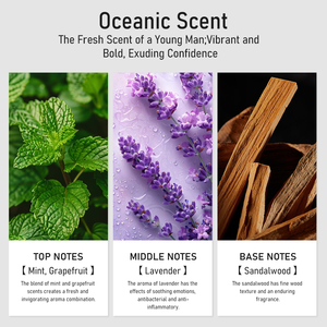 Shampooing Sport <span class=keywords><strong>2</strong></span>-<span class=keywords><strong>en</strong></span>-<span class=keywords><strong>1</strong></span> aux Herbes pour Hommes - Rafraîchissant, Nourrissant, Volume Accru, Contrôle du Sébum, Cheveux Hydratés 15 Fl Oz - Product Image 4