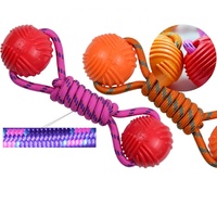 Jouet à Mâcher pour Animaux de Compagnie : Balle Élastique TPR, Jouets pour Chiens en Corde de Nylon, Résistance à la Morsure, Entraînement, Jeu de Traction, Jouets à Mâcher Interactifs