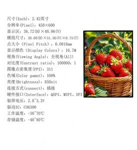 โมดูลจอแสดงผล AMOLED ขนาด 2.42 นิ้ว ความสว่าง 850nit ความละเอียด 450RGBx600 พร้อมอินเทอร์เฟซ MIPI/QSPI/SPI ไดรเวอร์ไอซี CO6300 ALL - Product Image 1