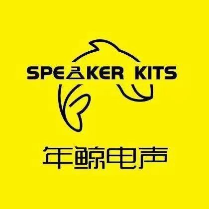 Xinning County Nian Jing Electronics Co., Ltd.