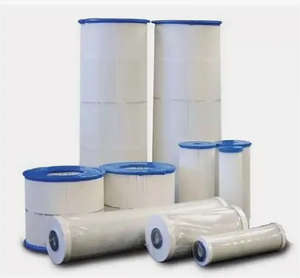 Repuesto de Cartucho de Filtro para Piscina Sta-Rite PTM70, 70TXR, 70TX, Piezas de Repuesto para Maquinaria de Construcción Sta-Rait PTM 70 - Product Image 4