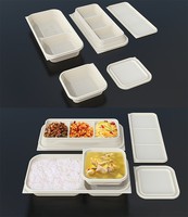 Anti-val 1100ml Wegwerp Lunchbox met Deksel Biologisch afbreekbaar Maïszetmeel + PP Ecologisch Verantwoord Afhaallocatie Bento Box