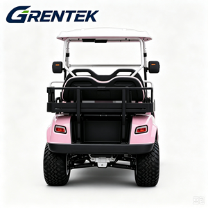 Voiturette de golf électrique rose personnalisée, nouvelle, haute puissance, meilleur prix, 1-2 places, 30 km/h, 50-70 km d'autonomie, hors route public - Product Image 5