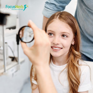 FocusHerb Pigmento natural Beta Caroteno Beta-Caroteno 1% Beta Caroteno Polvo - Product Image 3