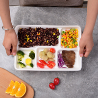 Barquette alimentaire jetable à 5 compartiments pour plats à emporter, en bagasse écologique