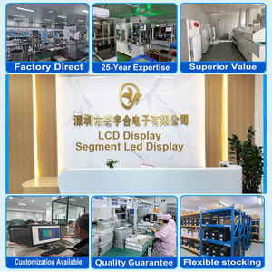 Afficheur LCD monochrome Xingyuhe à 7 segments, module LCM personnalisé HTN <span class=keywords><strong>TN</strong></span> VA STN FSTN Cog avec rétroéclairage <span class=keywords><strong>rouge</strong></span>/<span class=keywords><strong>bleu</strong></span>/<span class=keywords><strong>jaune</strong></span> - Product Image 3