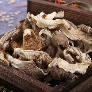100g/bag Pleurotus Sajor-caju High Quality Pleurotus Ostreatus Dried Oyster Mushroom