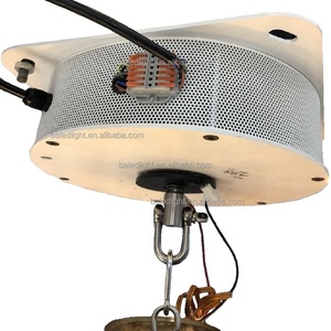 35kg 20kg 15kg 13kgs Peso de carga Lámpara colgante de luz de bahía alta Lámpara de araña Cabrestante Elevador de iluminación remota Elevador eléctrico automático - Product Image 6