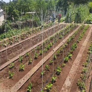 <span class=keywords><strong>Arceaux</strong></span> de <span class=keywords><strong>serre</strong></span> de jardin en fibre de verre, cadre de soutien amovible pour la culture des plantes, <span class=keywords><strong>arceaux</strong></span> de tunnel bas pour la protection contre les intempéries et les ravageurs - Product Image 1