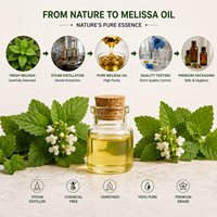 Huile Essentielle de Mélisse 100% Pure Certifiée Biologique, Petite Production, Bouteille de 1KG, Étiquette Privée Personnalisée, Soin Corporel Doux, Soins de la Peau, Matière Première