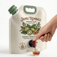 Pochettes Doypack personnalisées avec bec verseur 1,5L 3L 5L pour jus de fruits, eau de coco, boissons – Emballage liquide en plastique avec logo sur mesure
