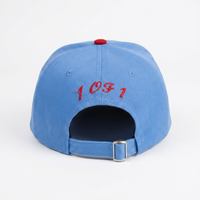Gorra Snapback Personalizada de 5 Paneles - con Bordado 3D, Estilo Hip Hop Unisex, para Deportes y Actividades al Aire Libre