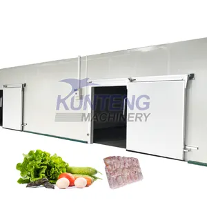 Commercial fruit vegetables cold room storage potato cold warehouse walk in freezer for fish lemon refrigeration room supplier