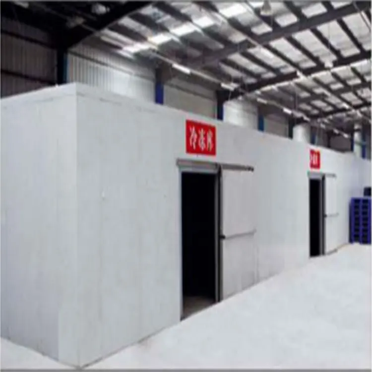 Freezing Cold Storage Equipment Fresh Cold Storage Room Truck Cold Room Container Cold Storage with Electric Control Box