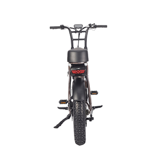Vélo électrique EU USA 20 pouces à pneus larges 250W Baogl 25km/h Vélo adulte ATV07 Nouveau Vélo tout-terrain Fat Bike - Product Image 6