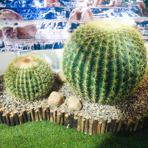 Factory Produce Different Size <strong>Large</strong> Cactus Globose Garden Landscape Cactus Decorations Indoor Outdoor <strong>Artifical</strong> Cactus <strong>Plant</strong> - Product Image 4