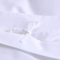 Parure de draps de luxe King Size 100% coton 400TC antibactérienne écologique moderne unie blanche pour hôtel et usage domestique