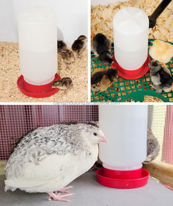 YZB Venta caliente 1L Manual de plástico <span class=keywords><strong>Bebederos</strong></span> <span class=keywords><strong>para</strong></span> aves de corral Bebedero y alimentador de pollitos - Product Image 6