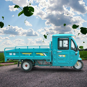 WF1500DZH triciclo elettrico a tre ruote chiuso Cargo E risciò <span class=keywords><strong>Tuk</strong></span> <span class=keywords><strong>Tuk</strong></span> <span class=keywords><strong>Tuk</strong></span> con 400kg di carico utile E 30-50 Km/h di velocità - Product Image 6