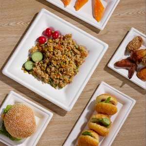 Assiettes carrées jetables biodégradables en bagasse de canne à sucre de 10 pouces, propres et hygiéniques, pour restaurants et traiteurs - Product Image 4