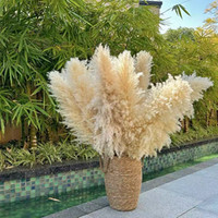 Décoration de mariage bohème en gros : Grandes plumes de pampa naturelles, véritables plumes préservées, plantes artificielles séchées