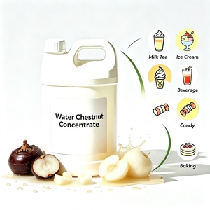 Concentrado Líquido de Castaña de Agua, Suministro de Fábrica, Natural, Soluble en Agua, Sin Aditivos Artificiales, para Postres, Repostería y Helados - Product Image 1