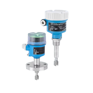 Interruptor de Nivel Endress+Hauser FTL41 100% Original y Nuevo - Serie E+H FTL Tipo Horquilla con 1 Año de Garantía y Personalización ODM/OBM - Product Image 5
