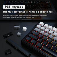 Clavier mécanique de bureau SK99W, 98 touches, échangeables à chaud, sans fil, trois modes, RGB, pour jeux, OEM ODM, interface Type-C