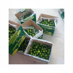 ไม่มีเมล็ดมะนาว/มะนาวที่มีคุณภาพสูงราคาที่ดี - Product Image 1