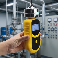 Détecteur de fuite de gaz sulfure d'hydrogène (H2S) portable OEM, testeur de capteur, protection IP54, haute précision, échantillonnage par aspiration pour les eaux usées