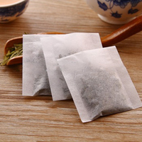 100 pièces/sac, papier filtre biodégradable thermoscellable, sachet de thé vide, jetable