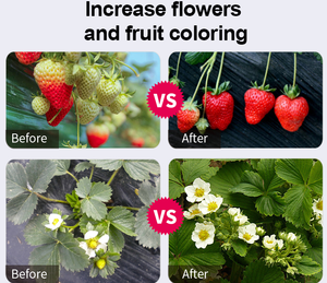 Lampada LED a Spettro Completo per Coltivazione in Serra, Illuminazione per Crescita di Fragole e Frutta <span class=keywords><strong>del</strong></span> <span class=keywords><strong>Drago</strong></span> - Product Image 5