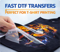 Rouleau de film de transfert DTF en PET en gros pour impression par transfert thermique sur T-shirt, pelage à chaud et à froid