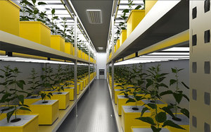 Contenedor pequeño agrícola Granja hidropónica Contenedor <span class=keywords><strong>de</strong></span> envío Granja para tomates y pepinos - Product Image 3