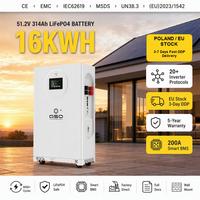 Batería de iones de litio DDP en stock en la UE, 16 kWh, 48 V, 51,2 V, 314 Ah, 300 Ah, LiFePO4, Akku
