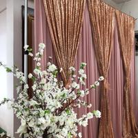 Fête scène toile de fond décoration murale Polyester rideau tissu mariage toile de fond rideaux