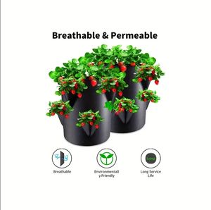 10 gallons fraise tomate plante sac de culture poignée de fenêtre tissu feutre matériel <span class=keywords><strong>pour</strong></span> intérieur extérieur pépinière serre compléments - Product Image 3