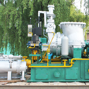 <span class=keywords><strong>Siemens</strong></span> Stg 30Mw Gebruikte Elektrische Generatorkerncomponenten Van Biomassa-Vergassingsinstallatie Met Stoomturbine En Motormotor - Product Image 4