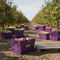 Caisse empilable et emboîtable en plastique léger, durable et écologique HAOSEN pour le stockage et l'emballage de légumes et de fruits