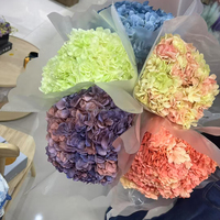 Bloemen Bruiloft Decor Natuurlijke Real Touch Geconserveerde Grote Blad Hortensia Met Lange Stengel Gedroogde Hortensia Bloemen