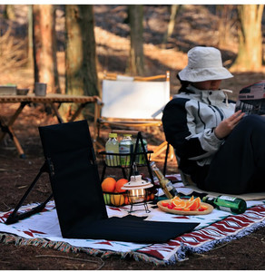 Chaise de camping pliable en métal pour extérieur, jardin, parc, plage, avec dossier et coussin, portable et confortable - Product Image 4