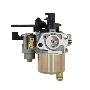 <span class=keywords><strong>P19</strong></span> 19mm Convient pour Briggs & Stratton 799882 XR750 163cc Carburateur - Product Image 1