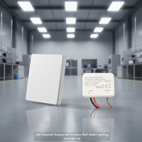 OEM ODM Interrupteur sans fil cinétique économique à commande lumineuse, installation facile, aucune batterie requise, pas de câblage complexe