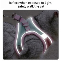 Accessoires pour animaux de compagnie Luxueux pour teckels Sans traction Corde laisse Ensemble de laisse et harnais pour chiens