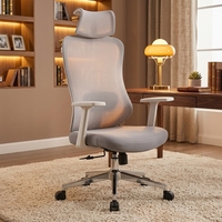 Chaise de bureau ergonomique confortable pour ordinateur et jeux, vente directe d'usine professionnelle chinoise