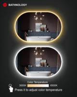 Professional Design Modern Bathroom LED Backlight Mirror Hotel Smart Frameless Oval Shape Touch Switch Dimming Light Illuminated