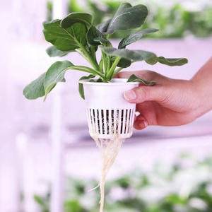 Mini Invernadero Inteligente con Luz LED para el Hogar, Sistema Hidropónico para Cultivo de Hierbas y Vegetales, Kit de Cultivo Hidropónico Interior - Product Image 4